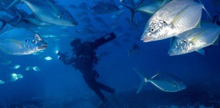 Con el apoyo de la Iniciativa Perpetual Planet de Rolex, se ha buceado a mayor profundidad que nunca, ayuda