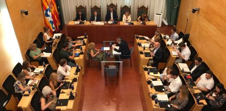 Pleno extraordinario del Ayuntamiento de Badalona