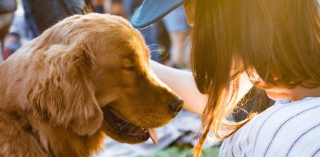Pregunta a tus amigos y familiares si pueden hacerse cargo de tu mascota.