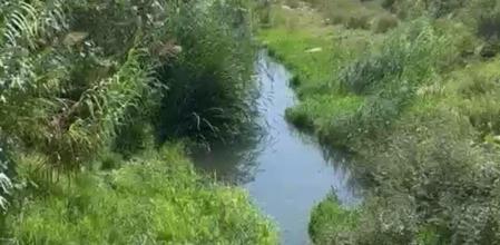 Ruta por la desembocadura del río Algar.