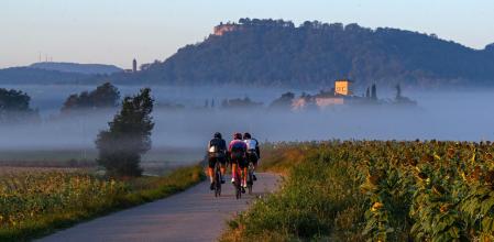 Paisaje de niebla baja al amanecer en Malla.