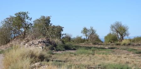 Reto visual: ¿Dónde está el pájaro?