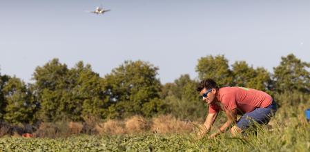 Imagen de archivo de los terrenos de la Cooperativa Agrícola de El Prat de Llobregat