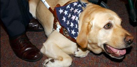 Roselle, en uno de los actos sociales a que acompañó a su dueño