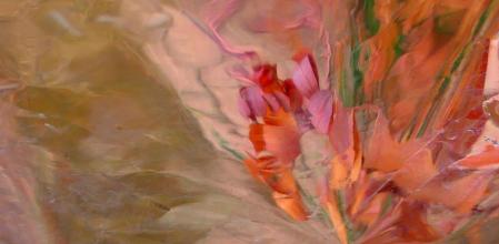 Hojas otoñales con tonos rojizos.