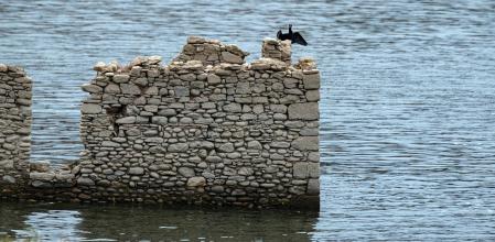 Cormorán secando sus alas al sol en una casa en ruinas del pantano de Sau.