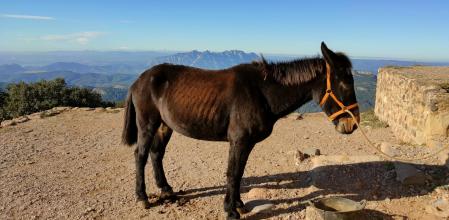 Sant Llorenç del Munt.