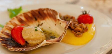 Las vieiras son ricas en taurina.