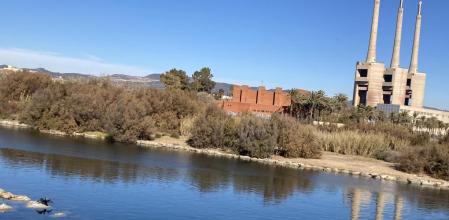 Cormorán en el río Besòs.