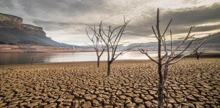 Paisaje de Sequía en Sau.