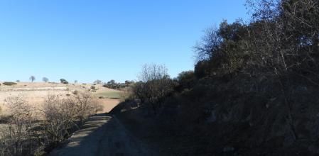 Reto visual: ¿Eres capaz de encontrar al aguilucho?