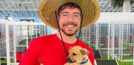 Mr Beast rescata a 100 perros abandonados y crea un santuario para que vivan bien hasta que sean adoptados