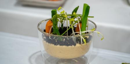 Huerto vegetal con hummus