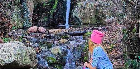 Riera de los árboles de Vallcàrquera, en el Figaró-Montmany.