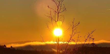 El sol vence a la niebla del Solsonès.