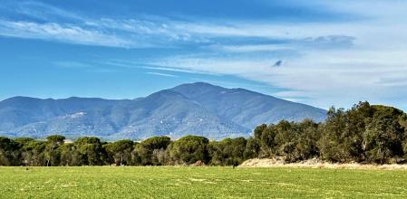 El paisaje rural de Santa Maria de Palautordera.