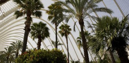 Parque del Museu de les Ciències de València
