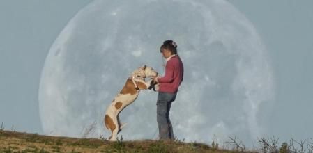 Jugando con la luna en el Mirador dels 40 pins.