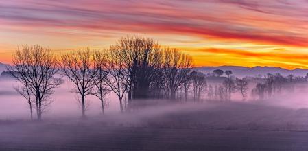 Pura fantasía de niebla en Gurb.
