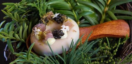 'Donete de paloma en escabeche de abeto'