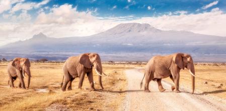 Parque nacional Amboseli en Kenia.