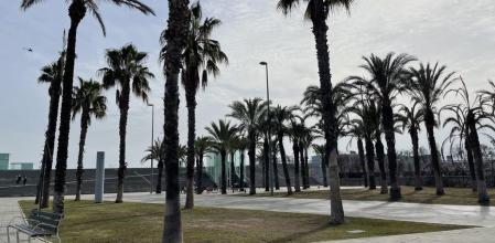 La Plaça de la Rosa dels Vents.