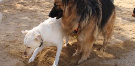 Correcán de Sant Martí de Provençals.