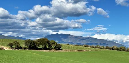 Sant Antoni de Vilamajor.
