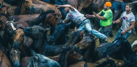 -FOTODELDÍA- A ESTRADA (PONTEVEDRA), 03/07/2022.- Segunda jornada de #{emoji}147;A Rapa das Bestas#{emoji}148;, en la que hizo presencia la lluvia durante el primitivo ejercicio de fuerza, pericia y astucia en el que el ser humano trata de doblegar con sus propias manos la voluntad de cientos de caballos salvajes. Vista del Curro durante la jornada lluviosa. EFE/Óscar Corral