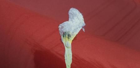 Las manchas deben retirarse con un paño empapado en agua haciendo movimientos circulares suaves.