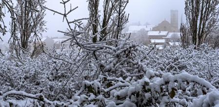 Nevada en Sant Bartomeu del Grau,