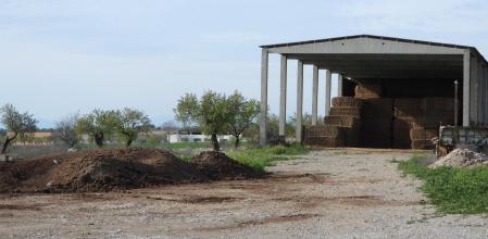 Reto visual: ¿Dónde está el cernícalo?
