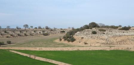 Reto visual: ¿Eres capaz de encontrar a las águilas?