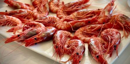 Fuente de gambas de Dénia en el restaurante El Faralló, carretera de Les Rotes (Dénia)