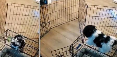 La divertida e ingeniosa