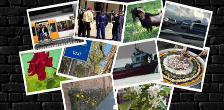 Diez imágenes curiosas, de quejas o con mensaje recogidas esta semana en El Buzón del Lector.