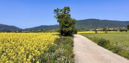 De ruta por Cànoves i Samalús.