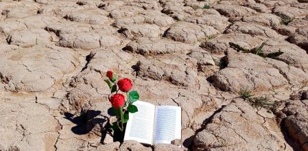 Sant Jordi de sequía en la Baells.