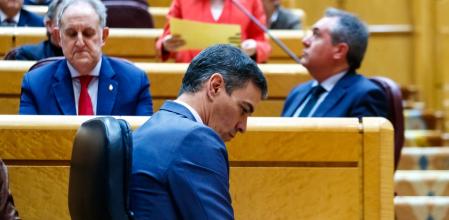El presidente del Gobierno, Pedro Sánchez, pensativo en el Senado