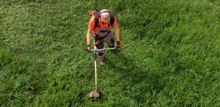 Las 8 mejores desbrozadoras del año: ¿cuál es el modelo perfecto para ti?