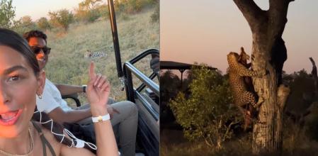 La pareja obsequió a sus invitados con un safari por África.