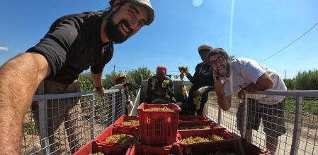 El último producto de Coop-era es una colección de cuatro vinos