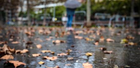 Varias hojas en el suelo a causa de la lluvia, a 17 de enero de 2023, en Barcelona, Catalunya (España). El séptimo gran temporal de la temporada ha traído viento, oleaje, nevadas y lluvias a las cuatro provincias catalanas, que vivirán un descenso en las temperaturas. La borrasca Gérard, que se adelanta a Fien, ha puesto en alerta por nieve a Barcelona, Girona y Lleida con un riesgo importante de nevadas, según los avisos emitidos por la Aemet. La borrasca también removerá el mar y se espera fuerte oleaje y fenómenos costeros en Barcelona, Tarragona y Girona.