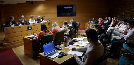 La comisión de Educación de Les Corts debate la ley de libertad educativa de PP y Vox.