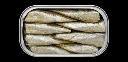 Sardinas en lata