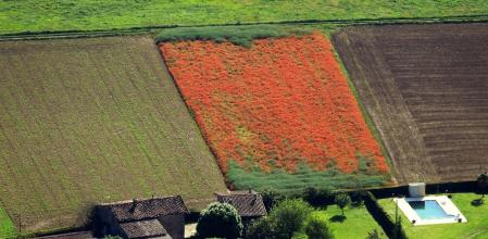 Alfombra de colores de la Vall d'en Bas.