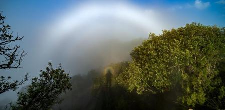 Arco de niebla con espectro de Brocken en el valle de Sau.