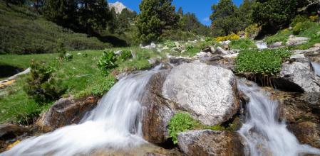 El nacimiento del Ter.