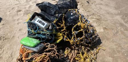 El material localizado en la playa de El Saler