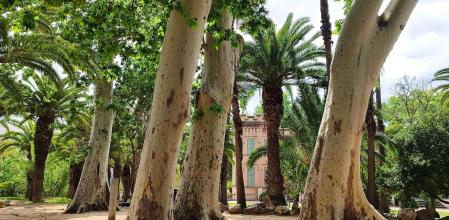 Gegants de Can Mercader.